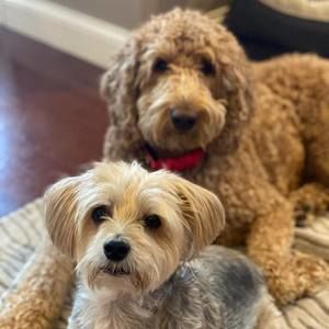 Meet your Posher, Susan